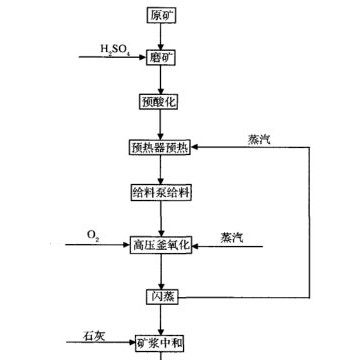 鉑思特高硫高砷難選冶金精礦處理技術(shù)，黃金選冶技術(shù)